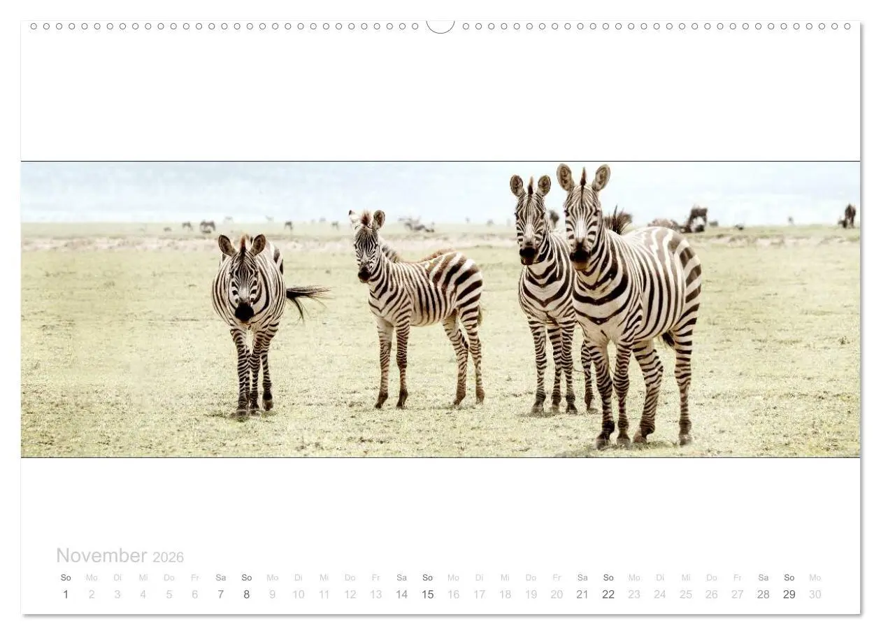 Bild: 9783516123630 | Serengeti Panorama (hochwertiger Premium Wandkalender 2026 DIN A2...