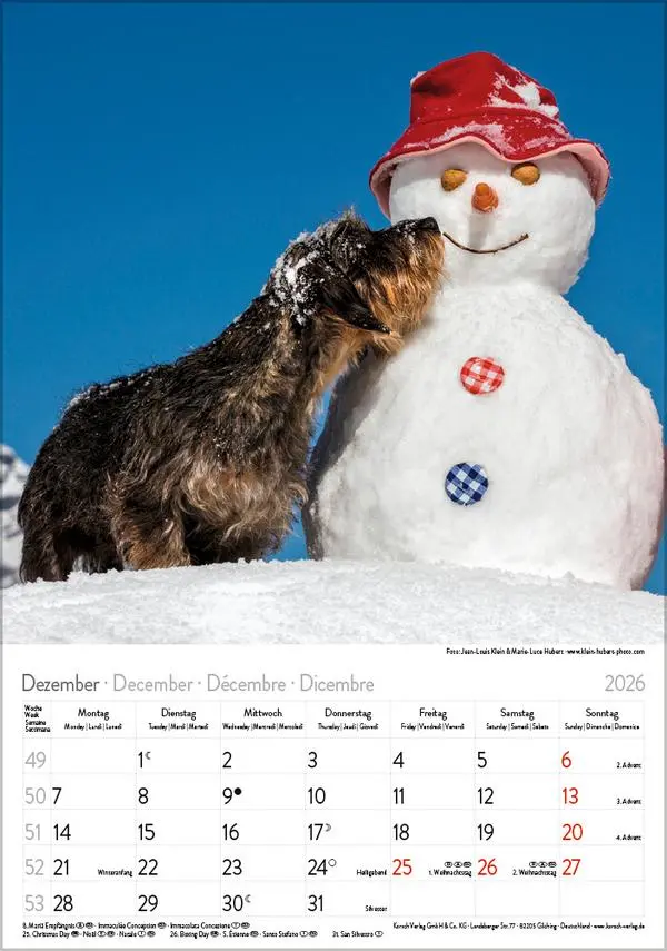 Bild: 9783731883630 | Dackel 2026 | Verlag Korsch | Kalender | Spiralbindung | 13 S. | 2026