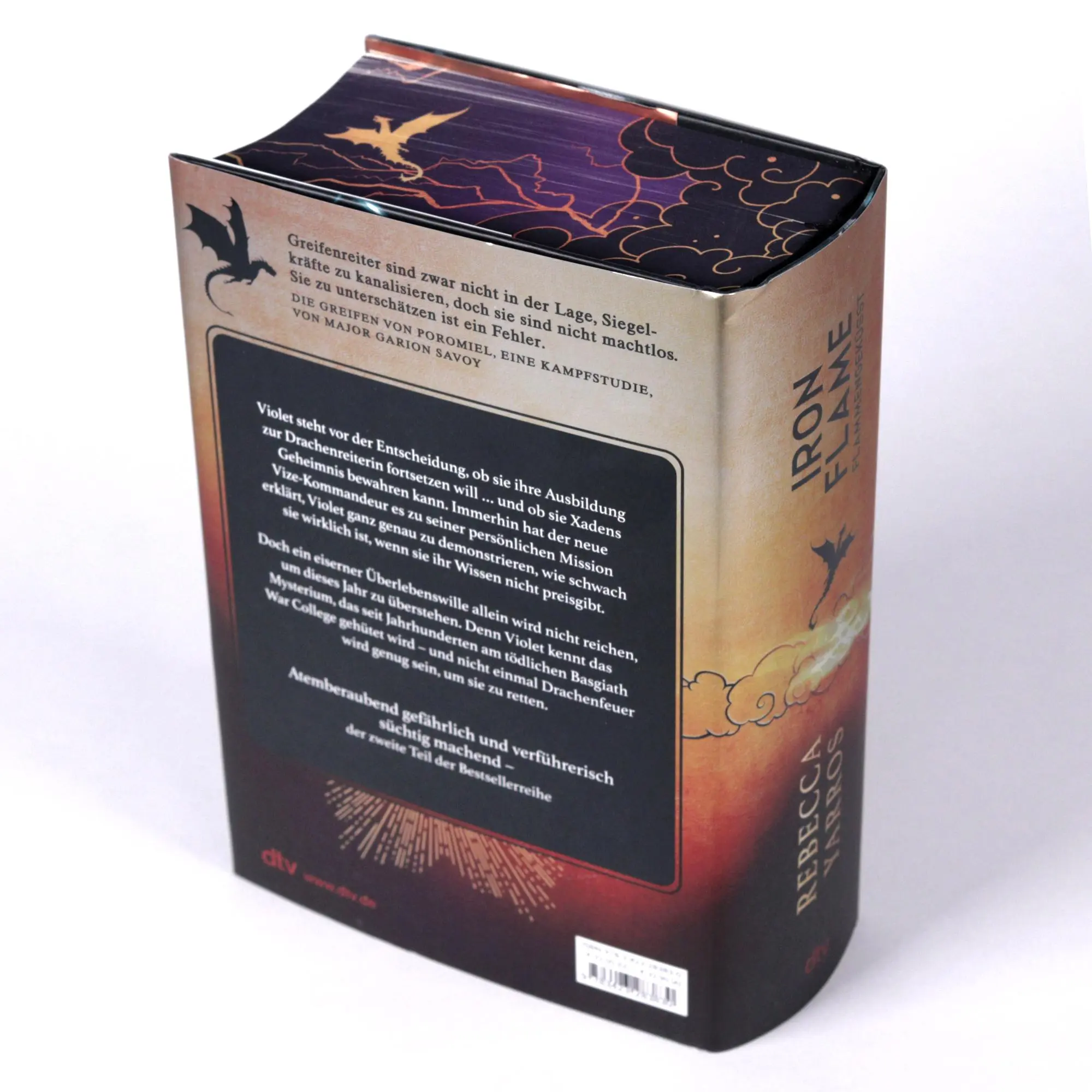 Bild: 9783423283830 | Iron Flame - Flammengeküsst | Rebecca Yarros | Buch | Fourth Wing