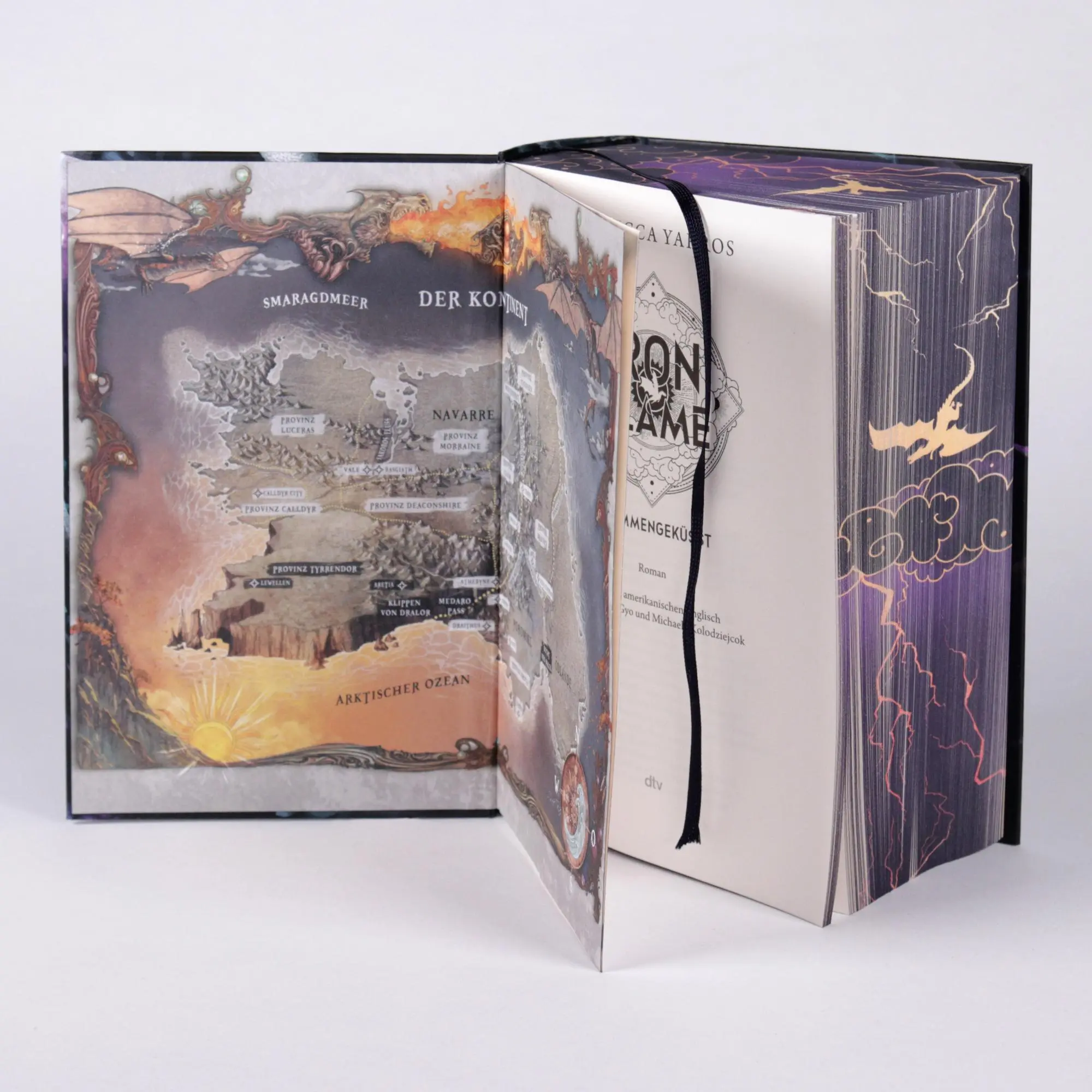 Bild: 9783423283830 | Iron Flame - Flammengeküsst | Rebecca Yarros | Buch | Fourth Wing
