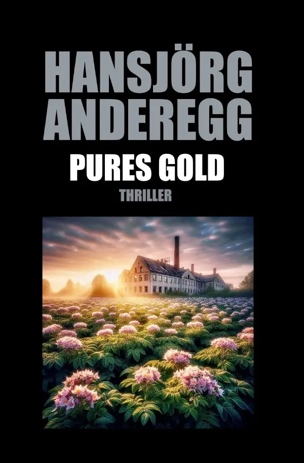 Cover: 9783818773830 | Pures Gold | DE | Hansjörg Anderegg | Taschenbuch | 652 S. | Deutsch