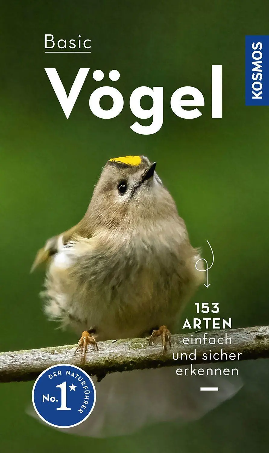 Cover: 9783440173930 | BASIC Vögel | Volker Dierschke | Taschenbuch | 128 S. | Deutsch | 2022
