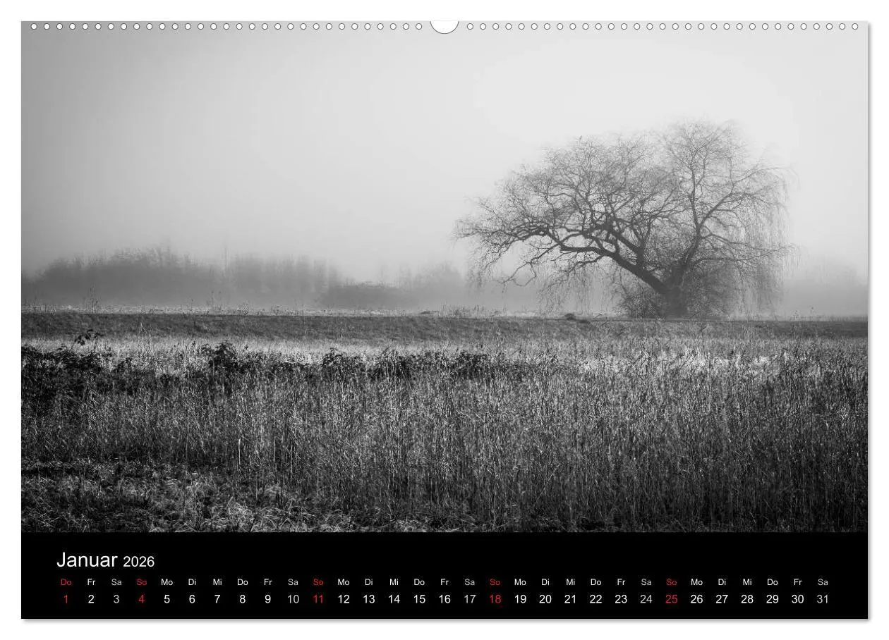 Bild: 9783516023930 | Monochrom 2026 (hochwertiger Premium Wandkalender 2026 DIN A2...