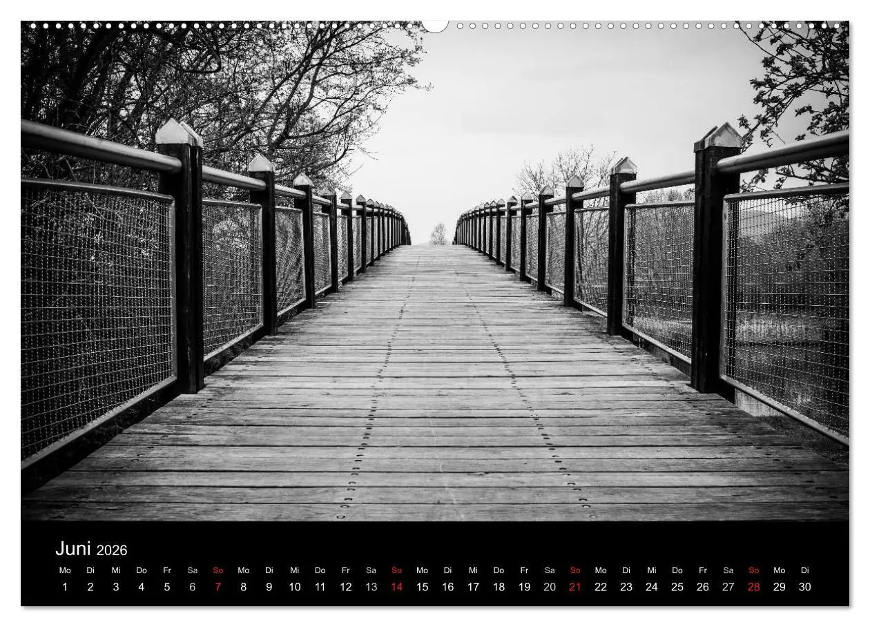 Bild: 9783516023930 | Monochrom 2026 (hochwertiger Premium Wandkalender 2026 DIN A2...