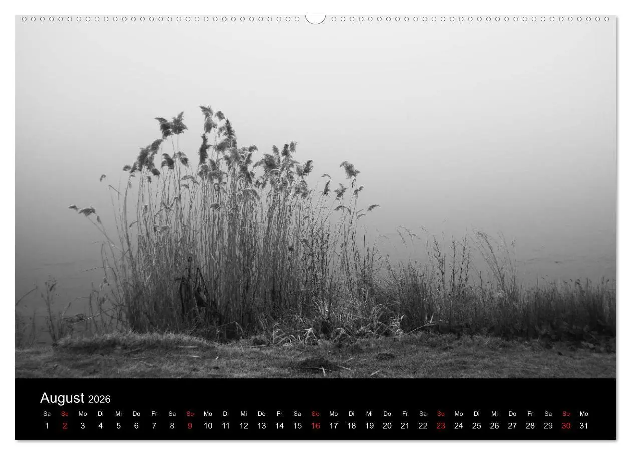 Bild: 9783516023930 | Monochrom 2026 (hochwertiger Premium Wandkalender 2026 DIN A2...