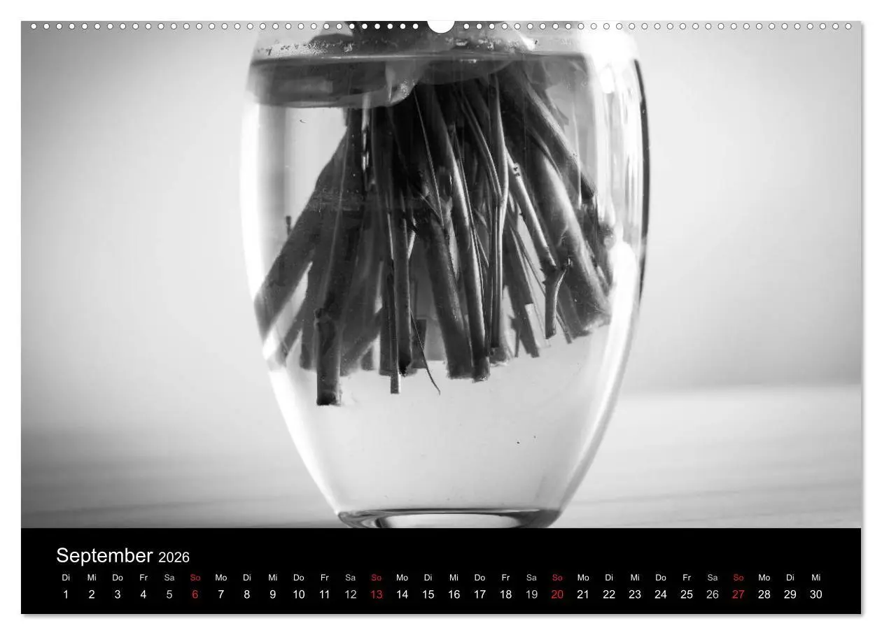 Bild: 9783516023930 | Monochrom 2026 (hochwertiger Premium Wandkalender 2026 DIN A2...