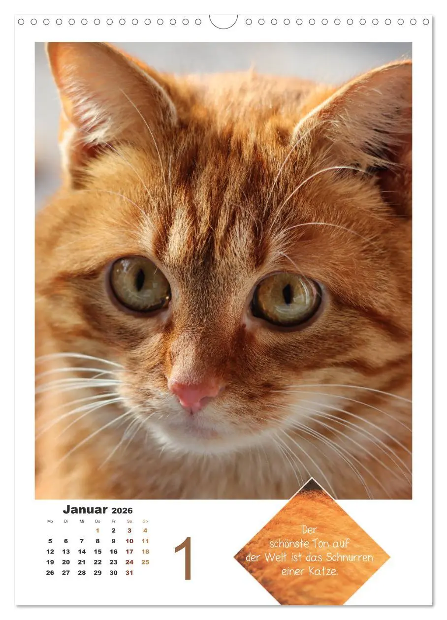 Bild: 9783516394030 | Wilde Tätzchen, sanfte Pfötchen (Wandkalender 2026 DIN A3 hoch),...
