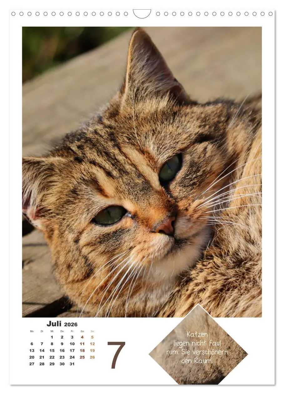 Bild: 9783516394030 | Wilde Tätzchen, sanfte Pfötchen (Wandkalender 2026 DIN A3 hoch),...