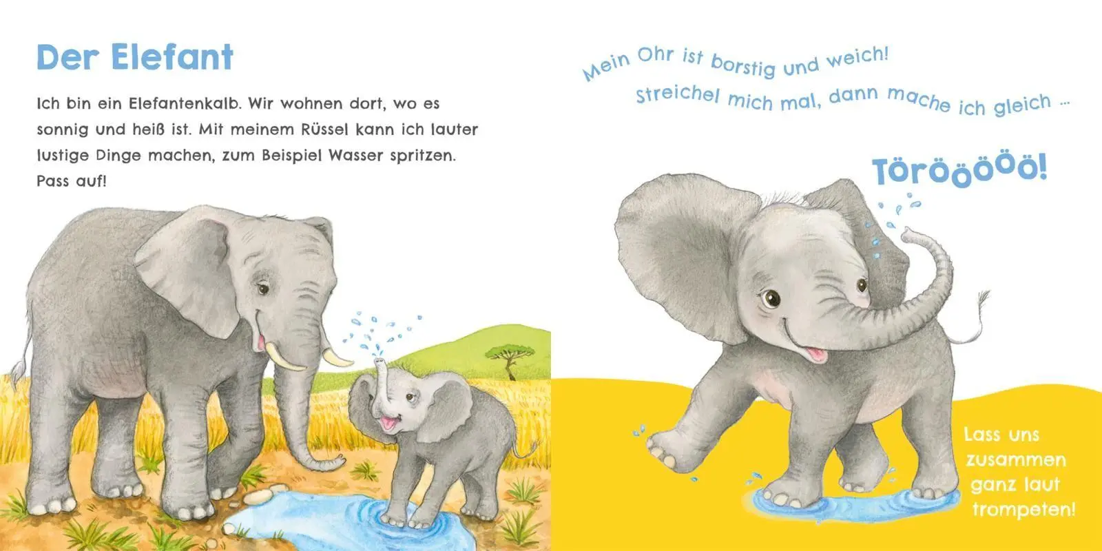 Bild: 9783551254030 | Hör mal, wie ich tröten kann (Mein erstes Streichel-Soundbuch 4)