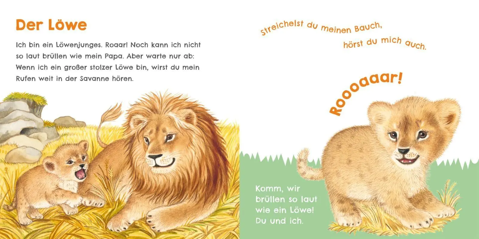 Bild: 9783551254030 | Hör mal, wie ich tröten kann (Mein erstes Streichel-Soundbuch 4)