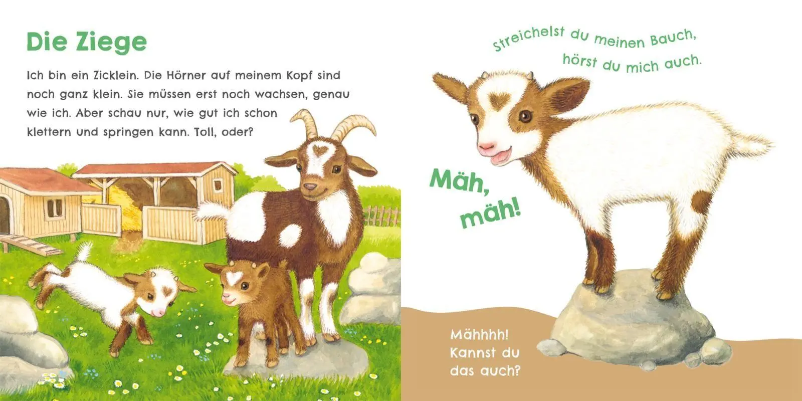 Bild: 9783551254030 | Hör mal, wie ich tröten kann (Mein erstes Streichel-Soundbuch 4)