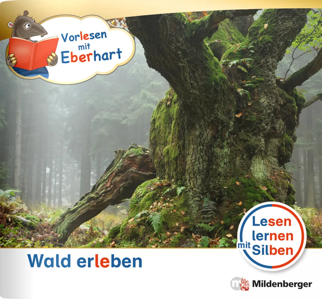 Cover: 9783619044030 | Vorlesen mit Eberhart - Wald erleben - Nachbezug Einzelheft | 16 S.