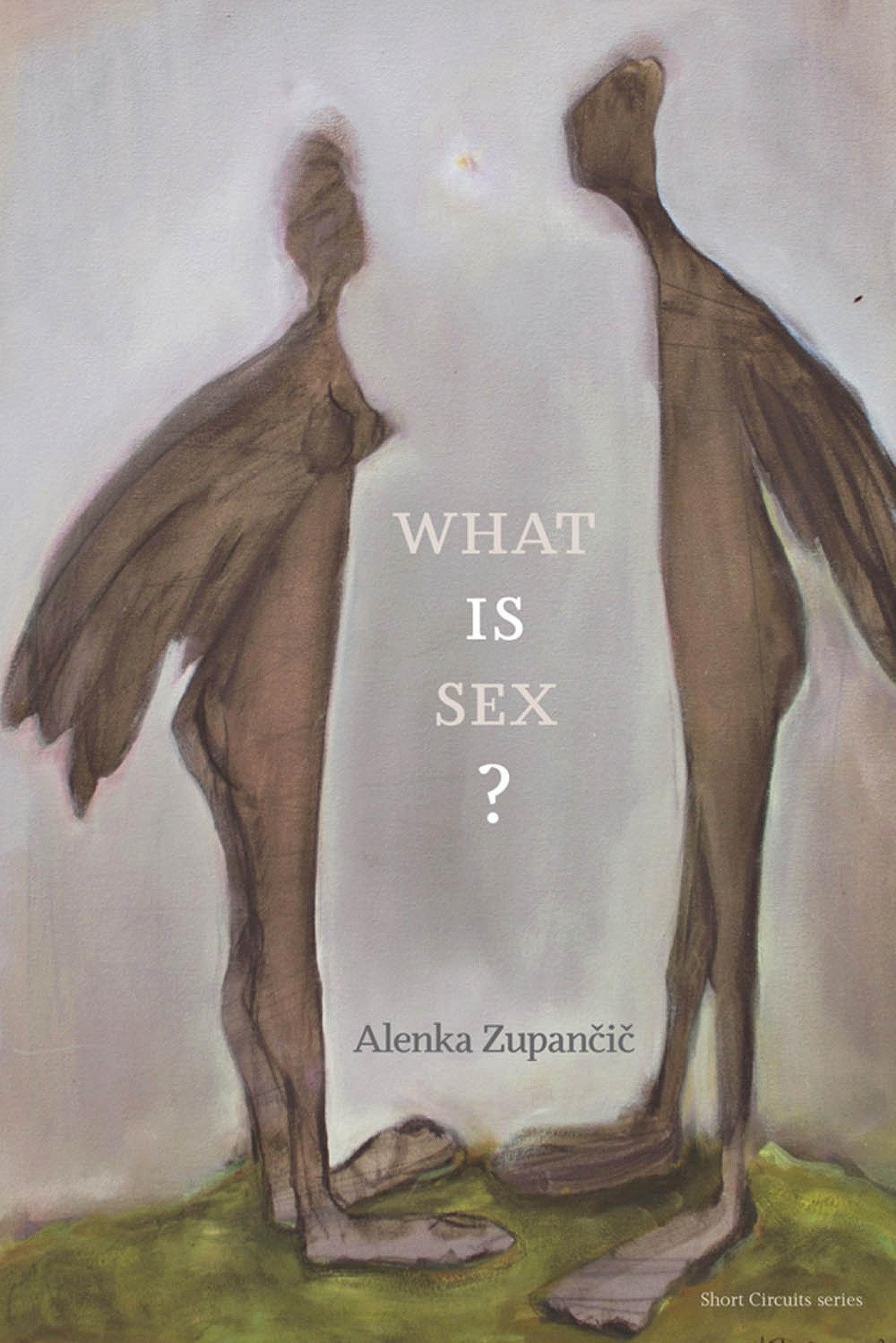 What is Sex? | Alenka Zupancic | Taschenbuch | Short Circuits | Einband - flex.(Paperback) | Englisch | 2017 | The MIT Press | EAN 9780262534130 - Zupancic, Alenka