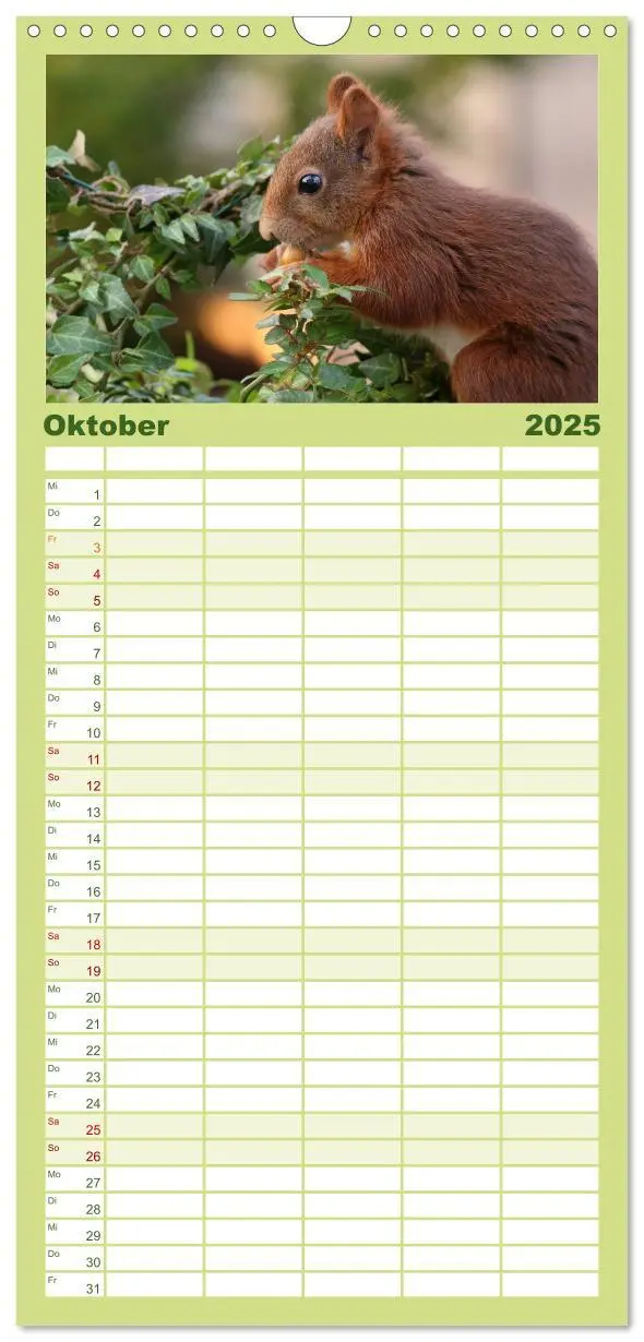 Bild: 9783457124130 | Familienplaner 2025 - Eichhörnchen Kinder mit 5 Spalten...