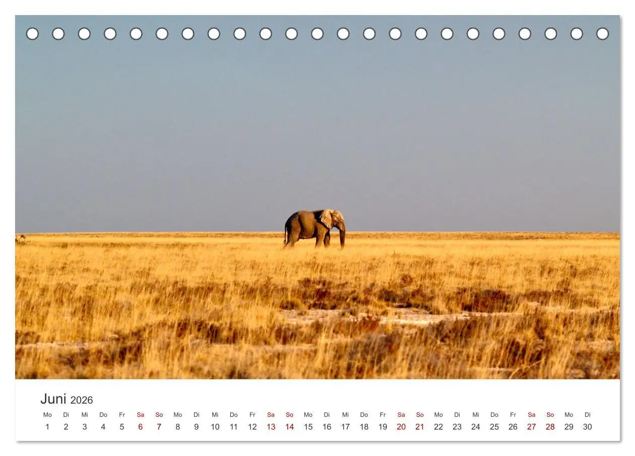 Bild: 9783457434130 | Namibia - Ein Paradies auf Erden. (Tischkalender 2026 DIN A5 quer),...