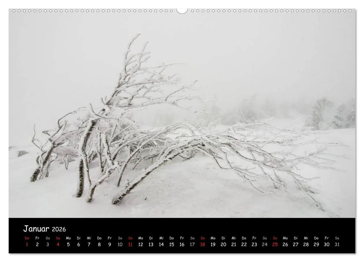 Bild: 9783516074130 | Faszination Harz 2026 (hochwertiger Premium Wandkalender 2026 DIN...