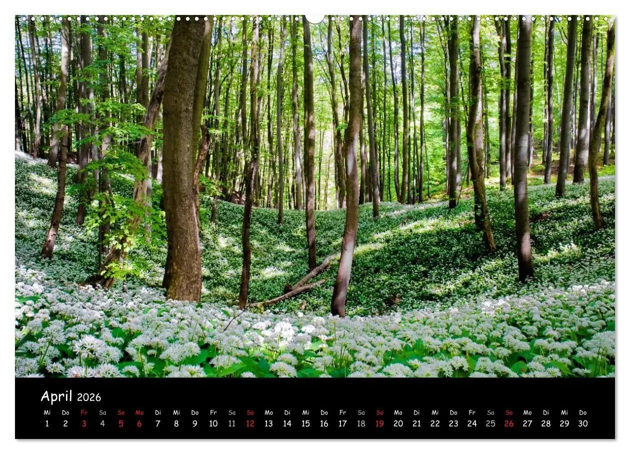 Bild: 9783516074130 | Faszination Harz 2026 (hochwertiger Premium Wandkalender 2026 DIN...