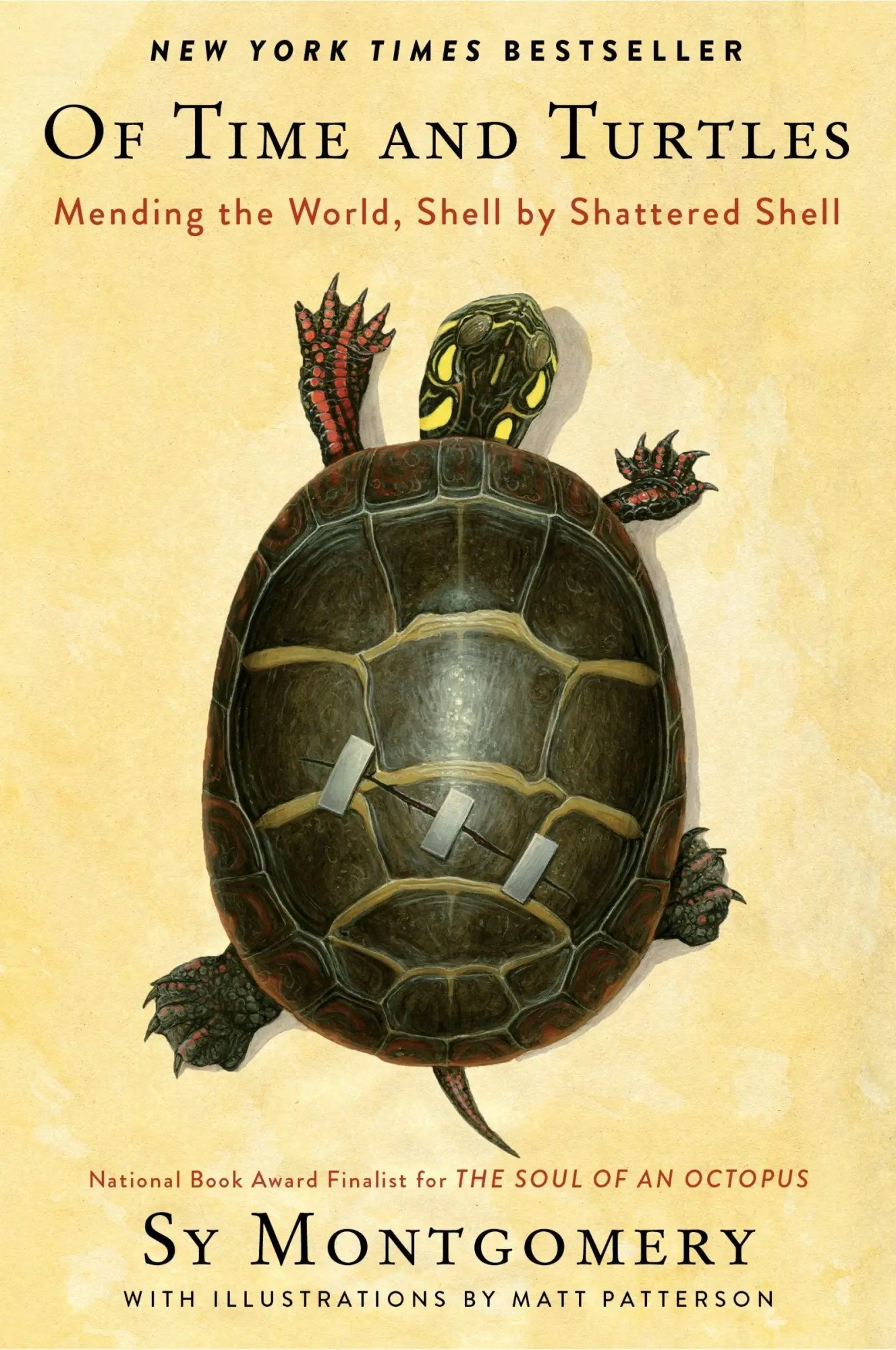Cover: 9780063394230 | Of Time and Turtles | Mending the World, Shell by Shattered Shell