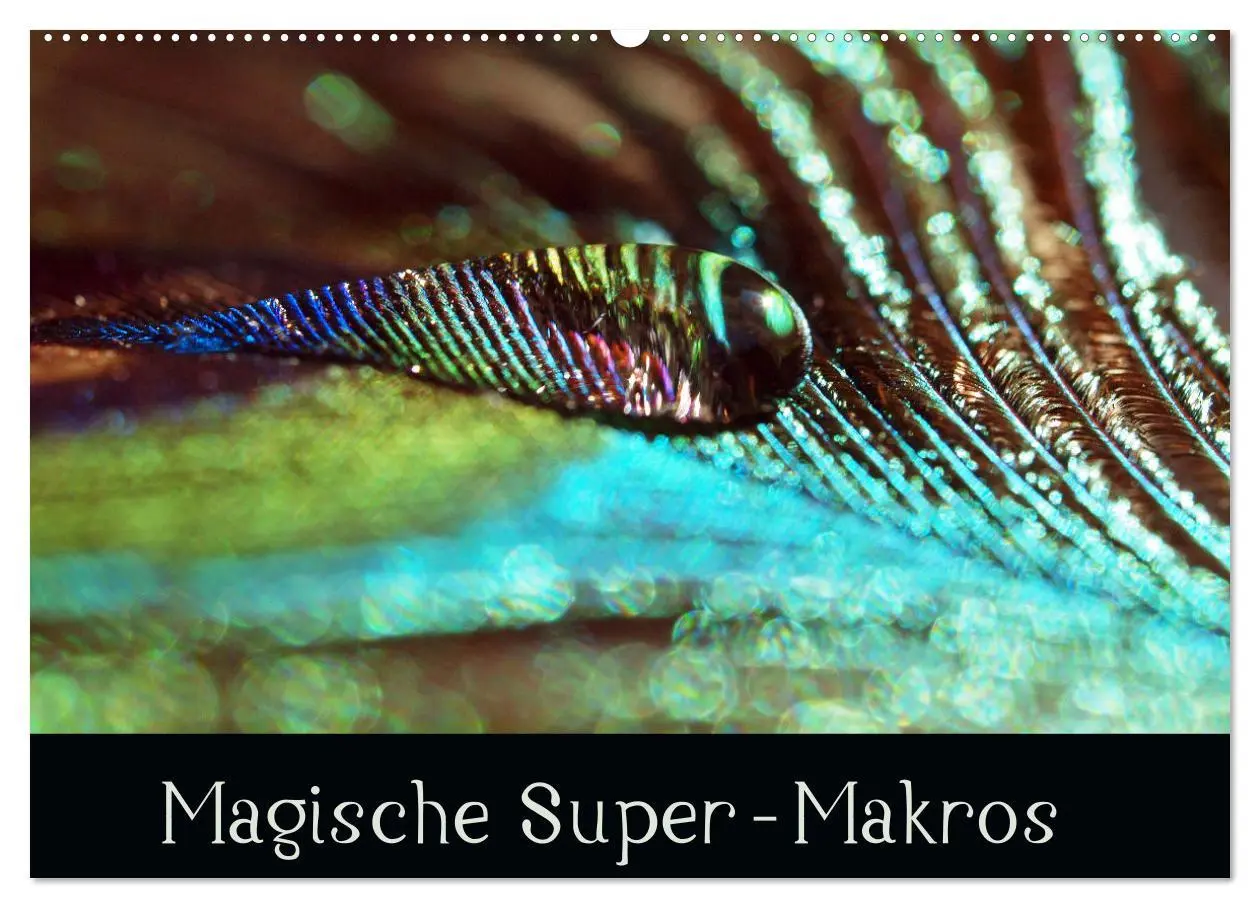 Cover: 9783457594230 | Magische Super-Makros (Wandkalender 2026 DIN A2 quer), CALVENDO...