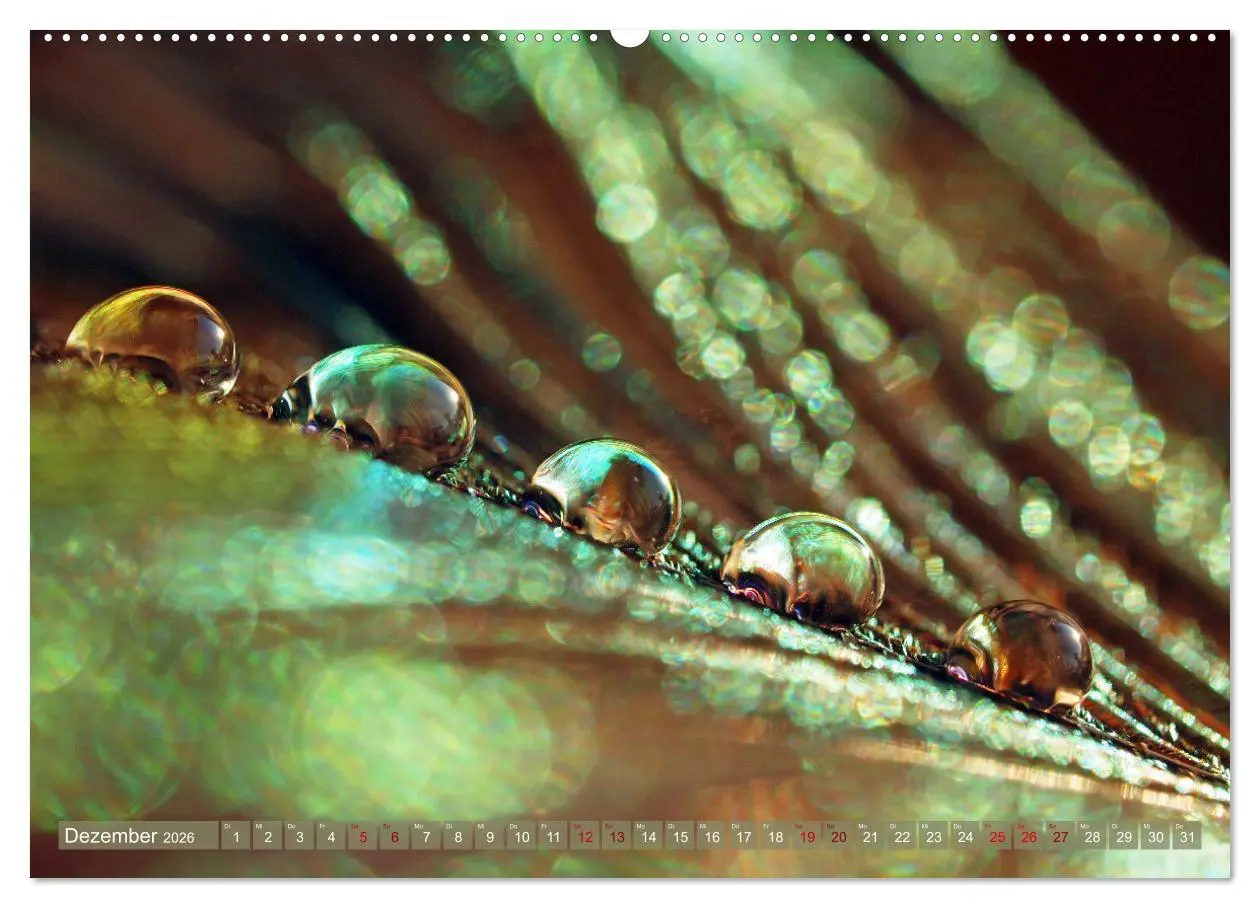 Bild: 9783457594230 | Magische Super-Makros (Wandkalender 2026 DIN A2 quer), CALVENDO...