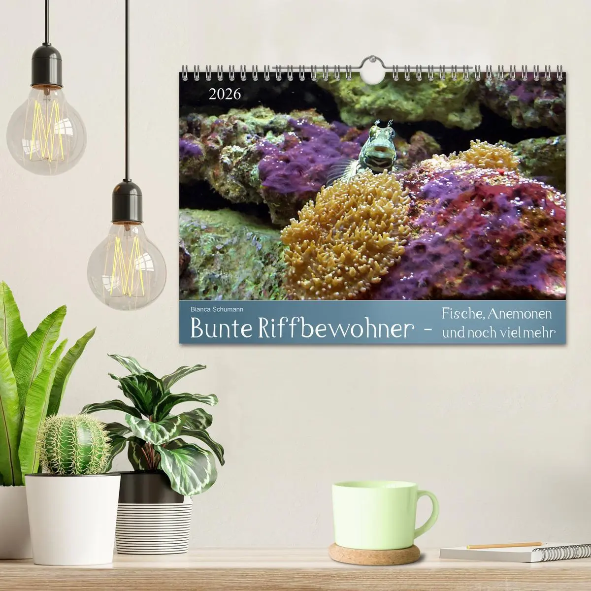 Bild: 9783516134230 | Bunte Riffbewohner - Fische, Anemonen und noch viel mehr...