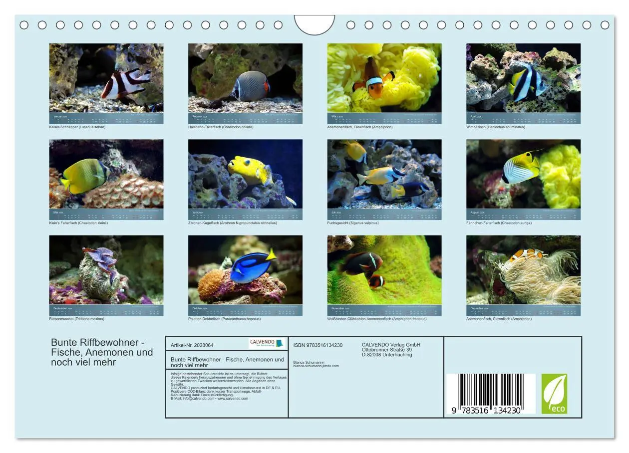 Bild: 9783516134230 | Bunte Riffbewohner - Fische, Anemonen und noch viel mehr...
