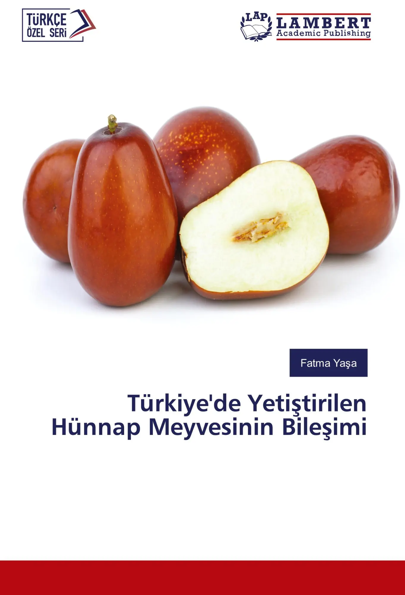 Cover: 9783659934230 | Türkiye'de Yeti¿tirilen Hünnap Meyvesinin Bile¿imi | Fatma Ya¿a | Buch