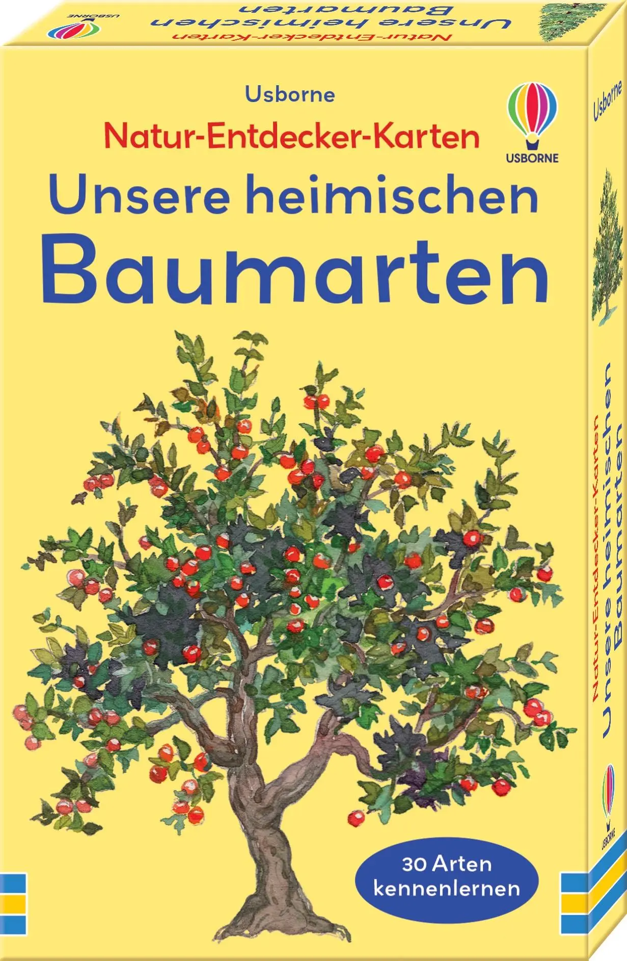Cover: 9781035704330 | Natur-Entdecker-Karten: Unsere heimischen Baumarten | Struan Reid