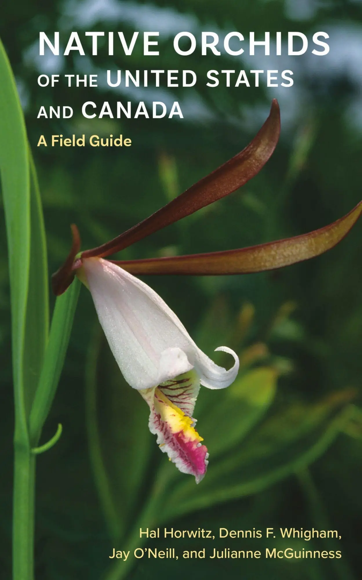Cover: 9781501784330 | Native Orchids of the United States and Canada | A Field Guide | Buch