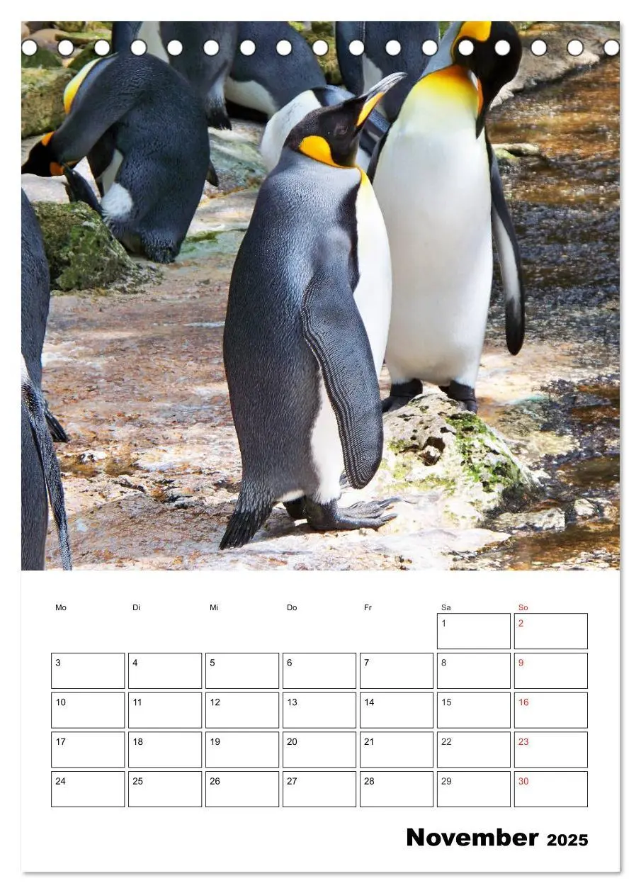 Bild: 9783457034330 | Pinguine. Familienglück im Eis (Tischkalender 2025 DIN A5 hoch),...
