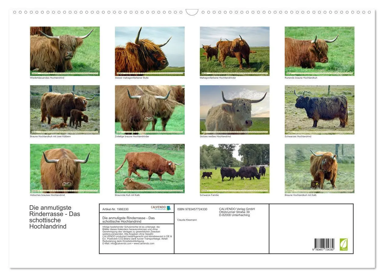 Bild: 9783457724330 | Die anmutigste Rinderrasse - Das schottische Hochlandrind...