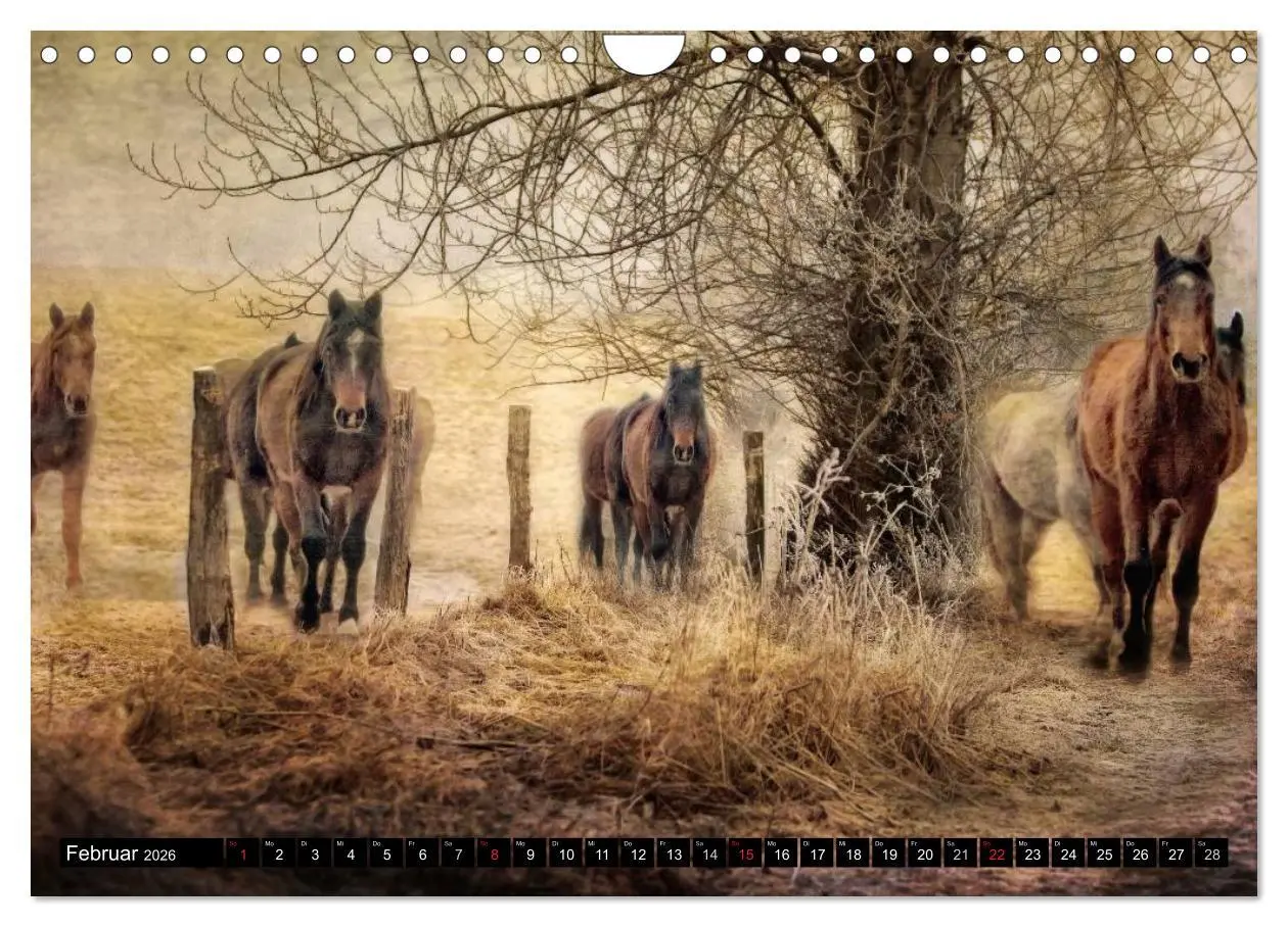 Bild: 9783457964330 | Western und Pferde (Wandkalender 2026 DIN A4 quer), CALVENDO...