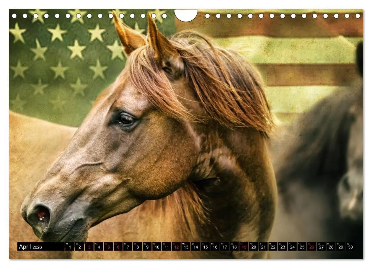 Bild: 9783457964330 | Western und Pferde (Wandkalender 2026 DIN A4 quer), CALVENDO...