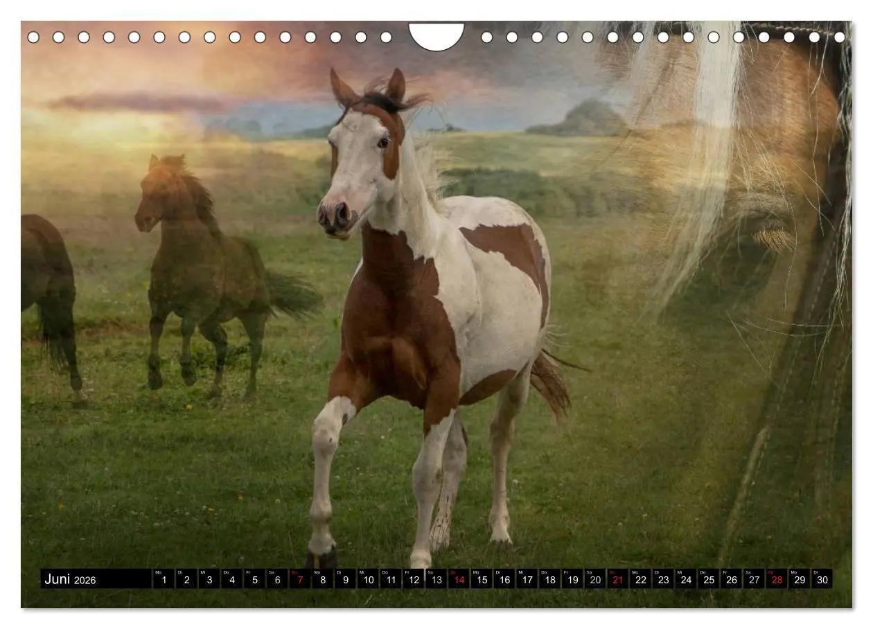 Bild: 9783457964330 | Western und Pferde (Wandkalender 2026 DIN A4 quer), CALVENDO...