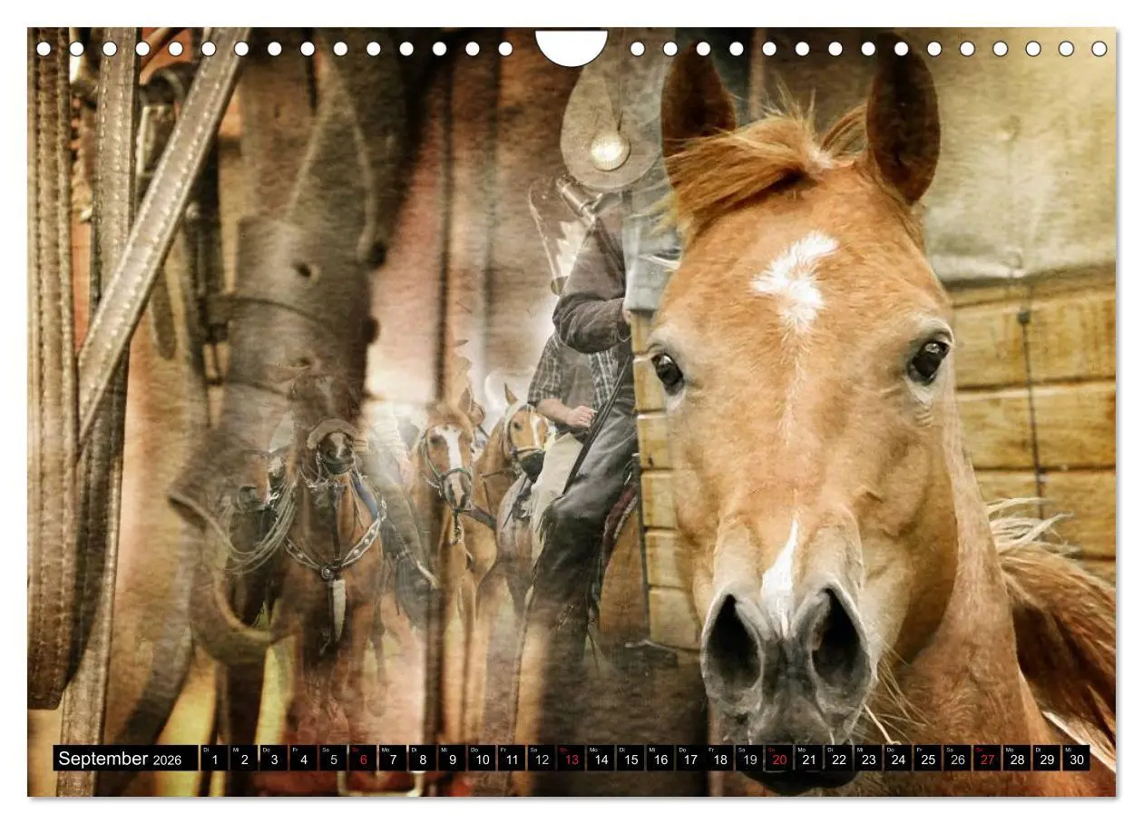 Bild: 9783457964330 | Western und Pferde (Wandkalender 2026 DIN A4 quer), CALVENDO...