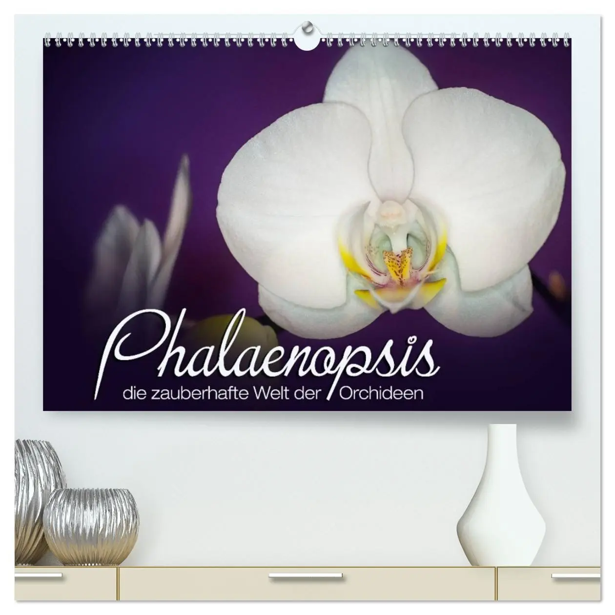 Cover: 9783516124330 | Phalaenopsis - die zauberhafte Welt der Orchideen (hochwertiger...