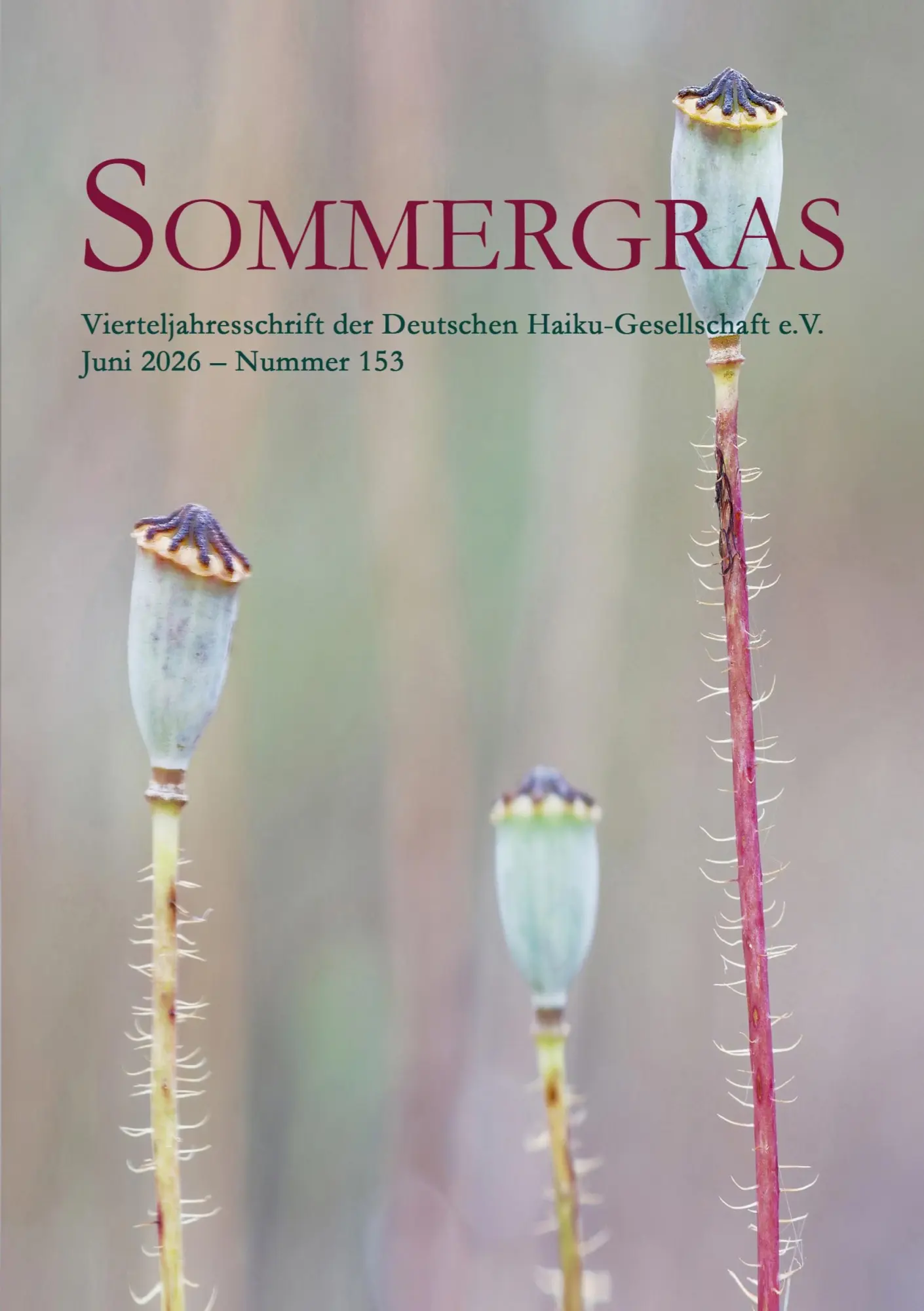 Cover: 9783695184330 | Sommergras 153 | Deutsche Haiku-Gesellschaft E. V. | Taschenbuch