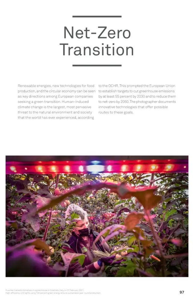 Bild: 9783775754330 | World Press Photo Yearbook 2023 English Edition | Foundation | Buch