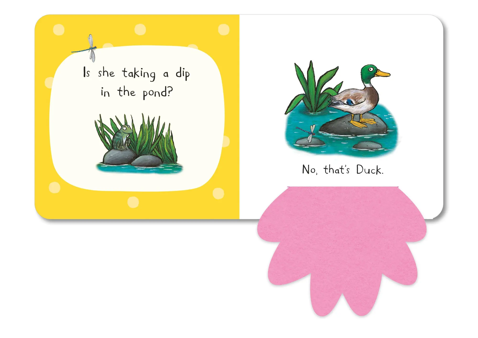 Bild: 9781035004430 | Who's Hiding In The Park? | A Felt Flaps Book | Campbell Books | Buch