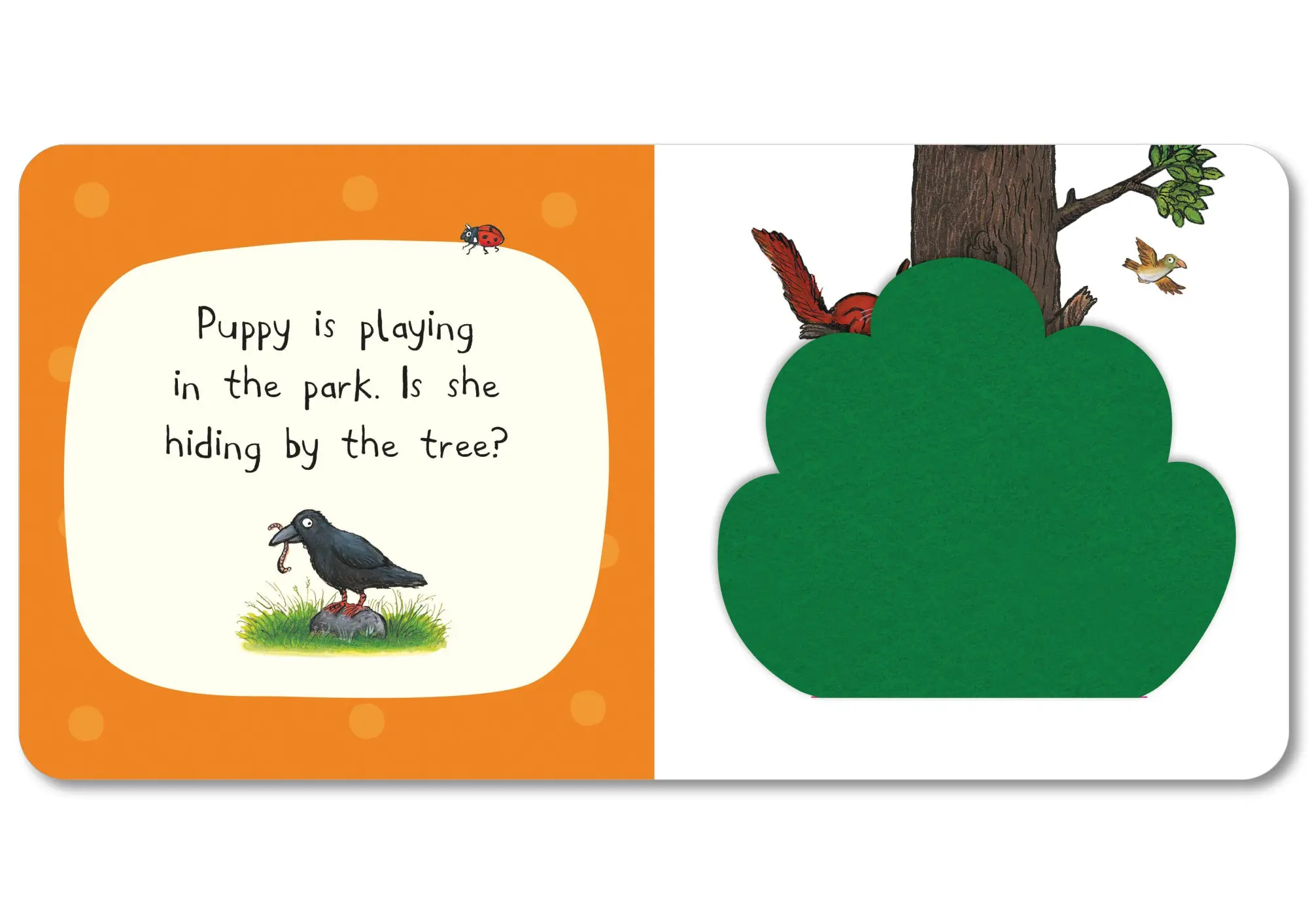 Bild: 9781035004430 | Who's Hiding In The Park? | A Felt Flaps Book | Campbell Books | Buch
