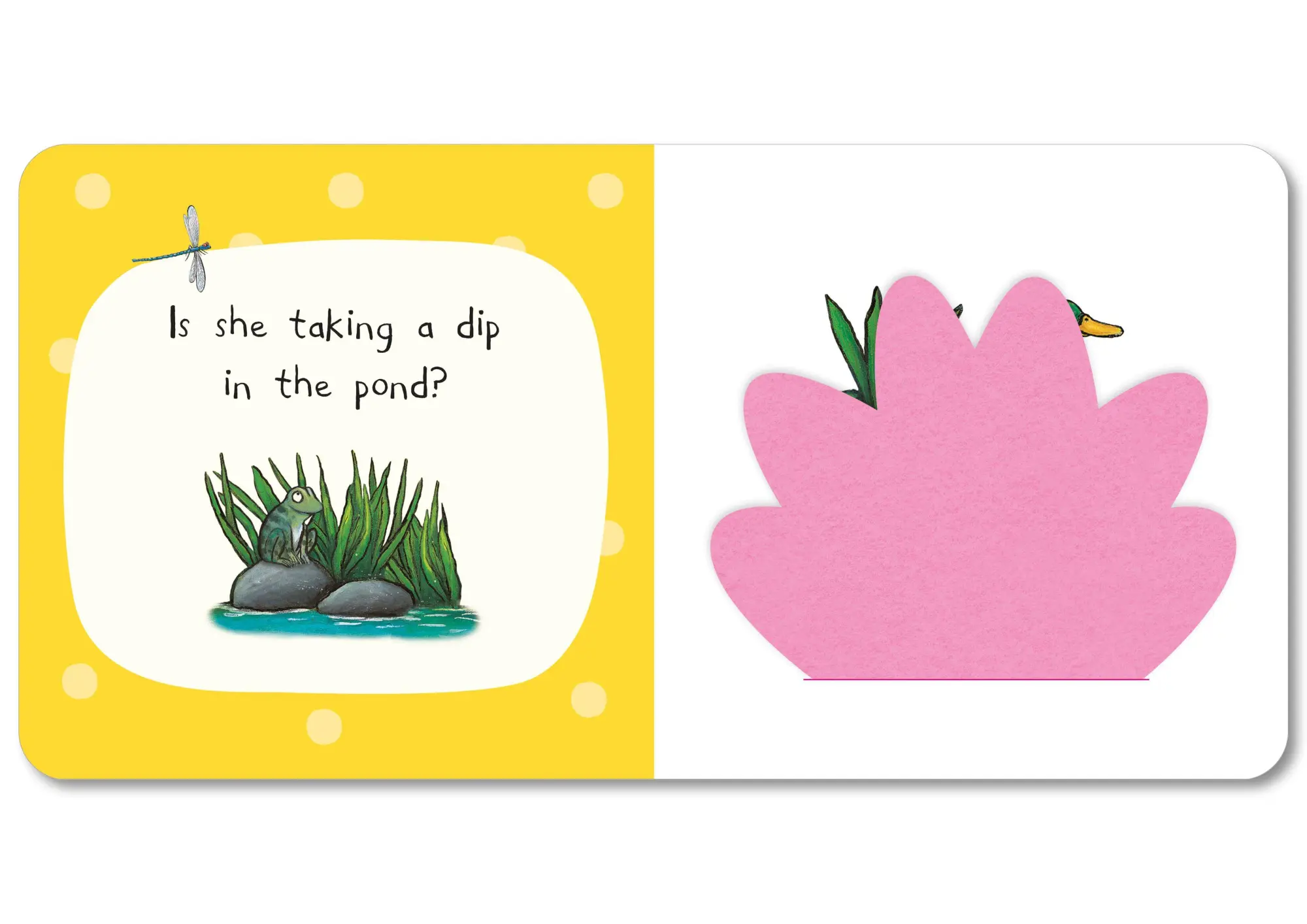 Bild: 9781035004430 | Who's Hiding In The Park? | A Felt Flaps Book | Campbell Books | Buch