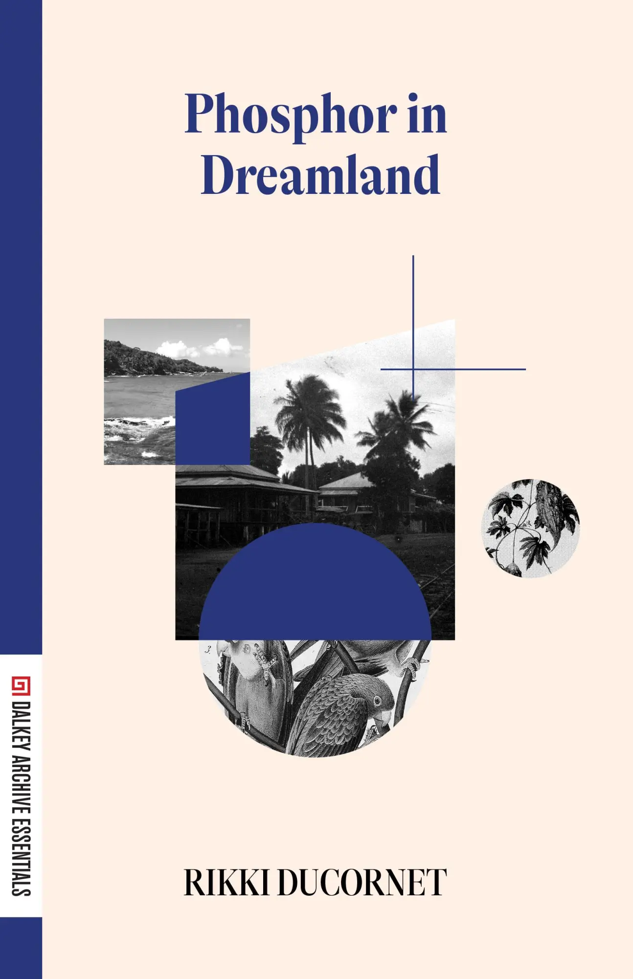 Cover: 9781628974430 | Phosphor in Dreamland | Rikki Ducornet | Taschenbuch | Englisch | 2023