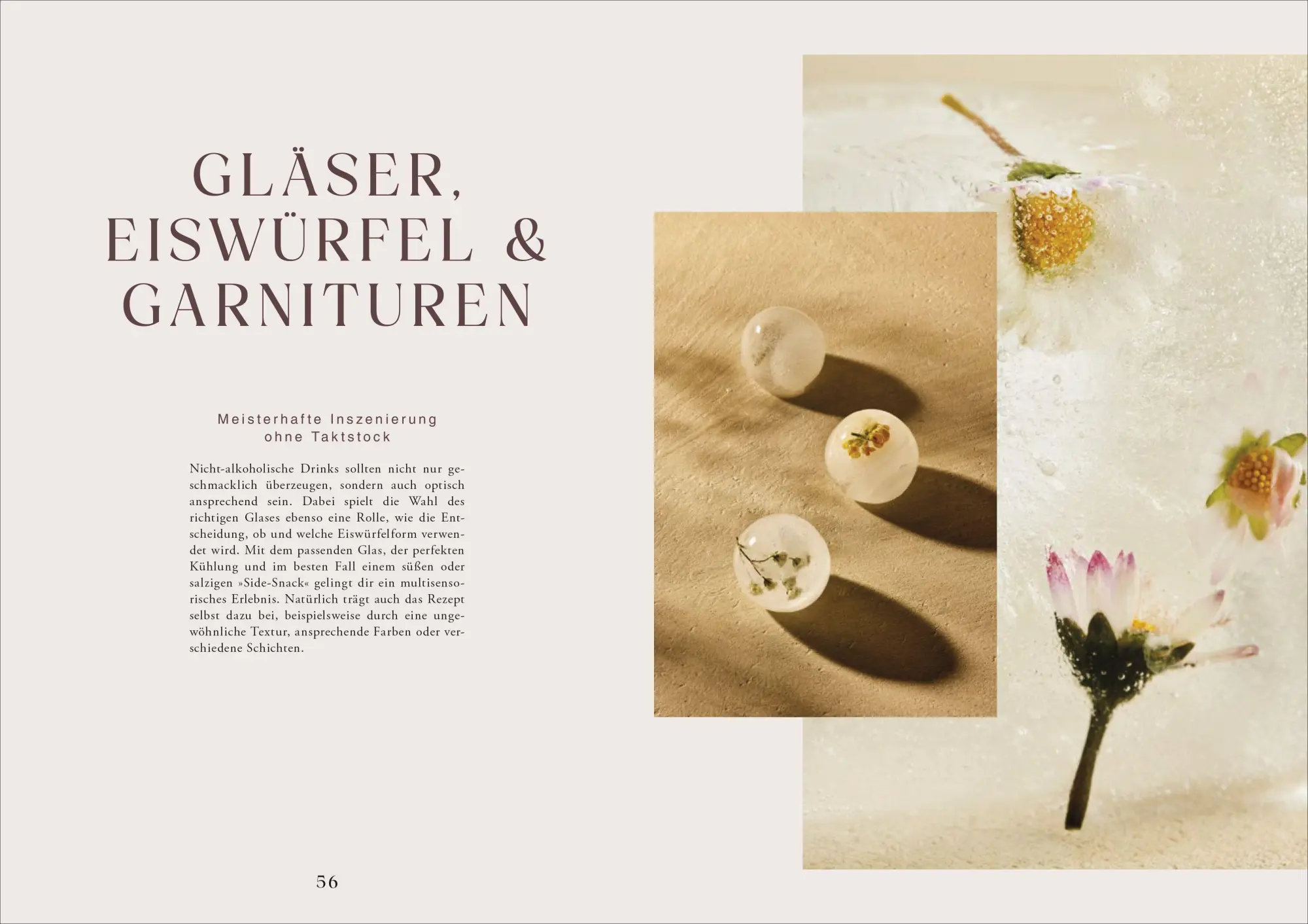 Bild: 9783517104430 | Drinks and Food we love | Genussvoll alkoholfrei | Schlachter (u. a.)