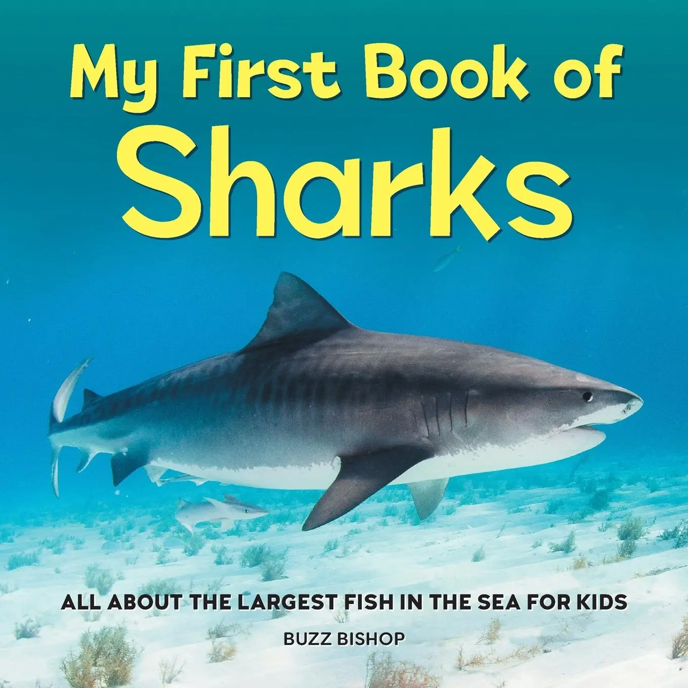 Cover: 9781685394530 | My First Book of Sharks | Buzz Bishop | Taschenbuch | Englisch | 2022