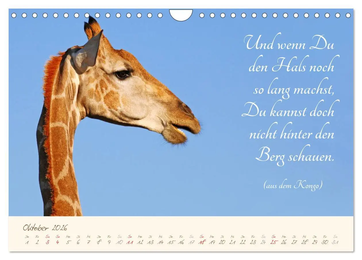 Bild: 9783457944530 | AFRIKA mit einem Hauch von Poesie (Wandkalender 2026 DIN A4 quer),...