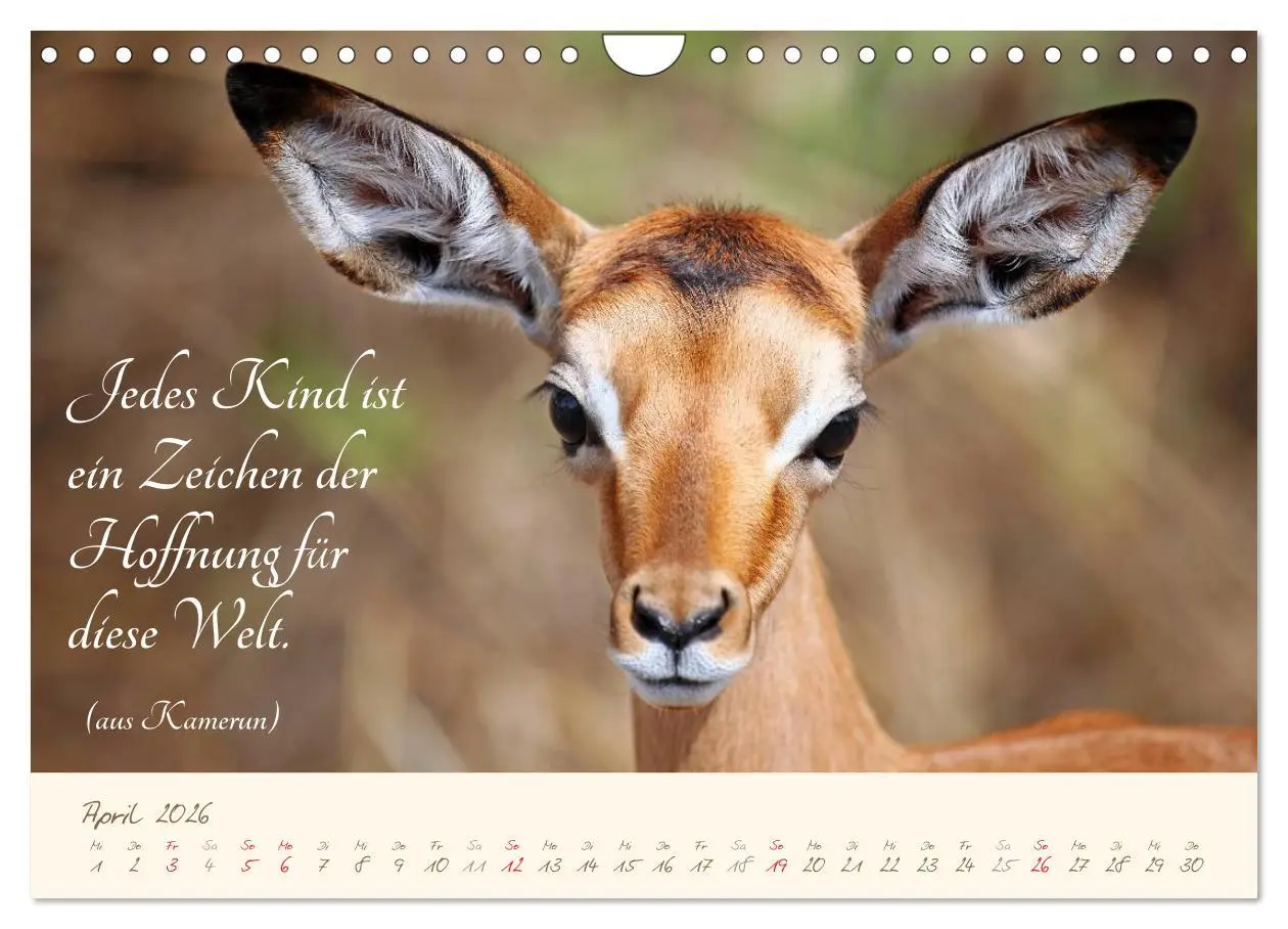 Bild: 9783457944530 | AFRIKA mit einem Hauch von Poesie (Wandkalender 2026 DIN A4 quer),...