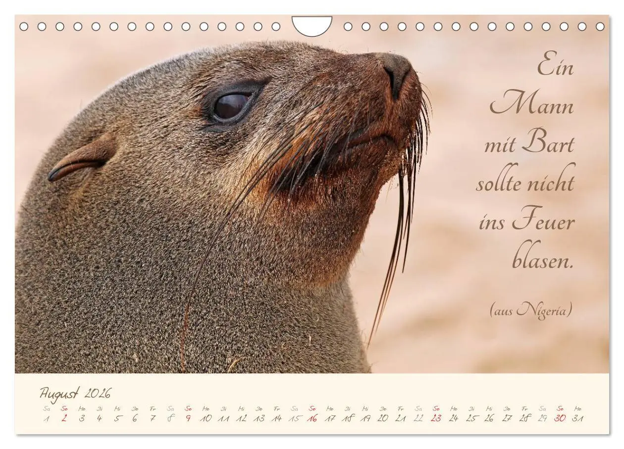 Bild: 9783457944530 | AFRIKA mit einem Hauch von Poesie (Wandkalender 2026 DIN A4 quer),...