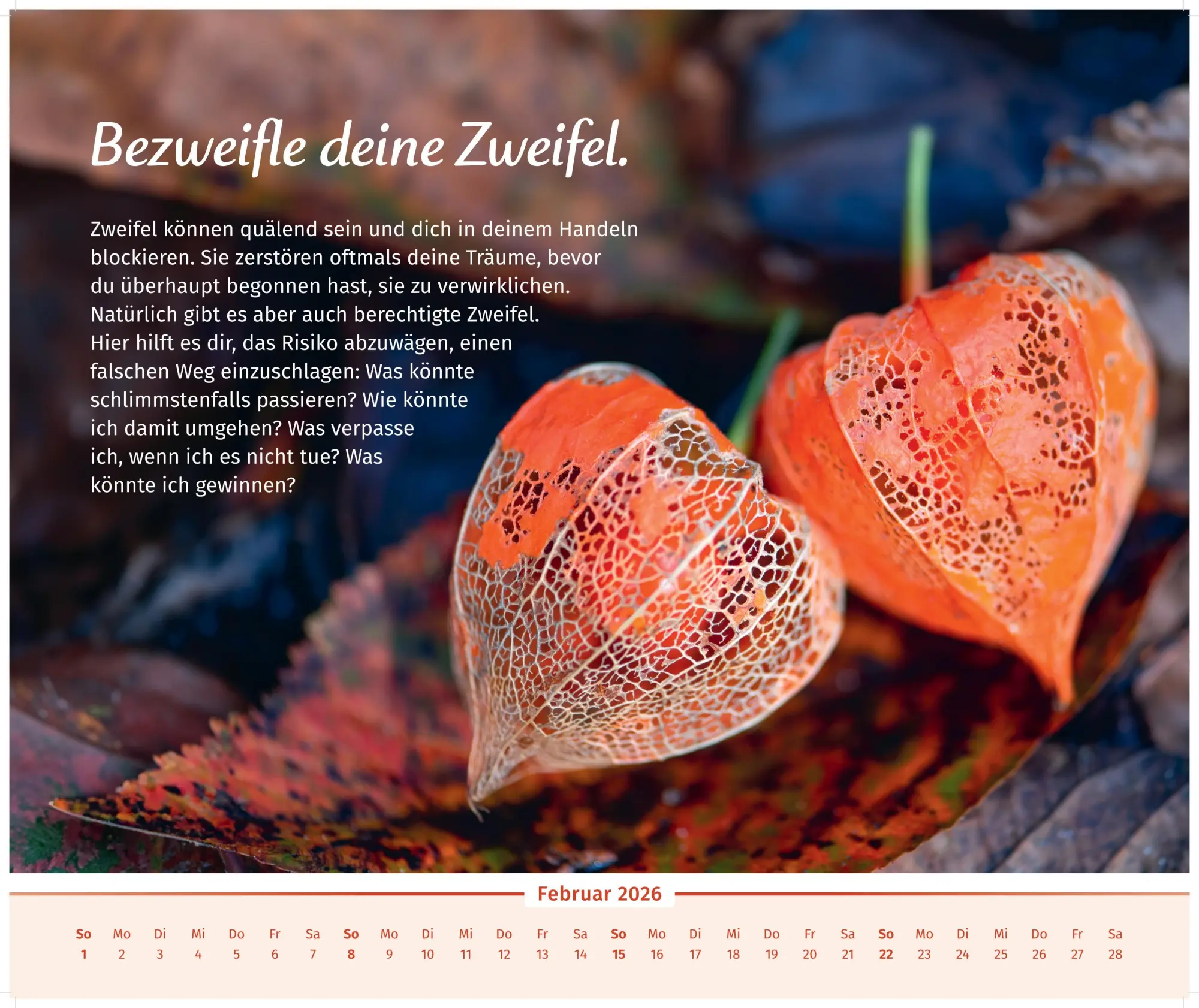 Bild: 9783910294530 | Der Lebensfreude-Inspirationen-Kalender 2026 | Doris Wolf (u. a.)