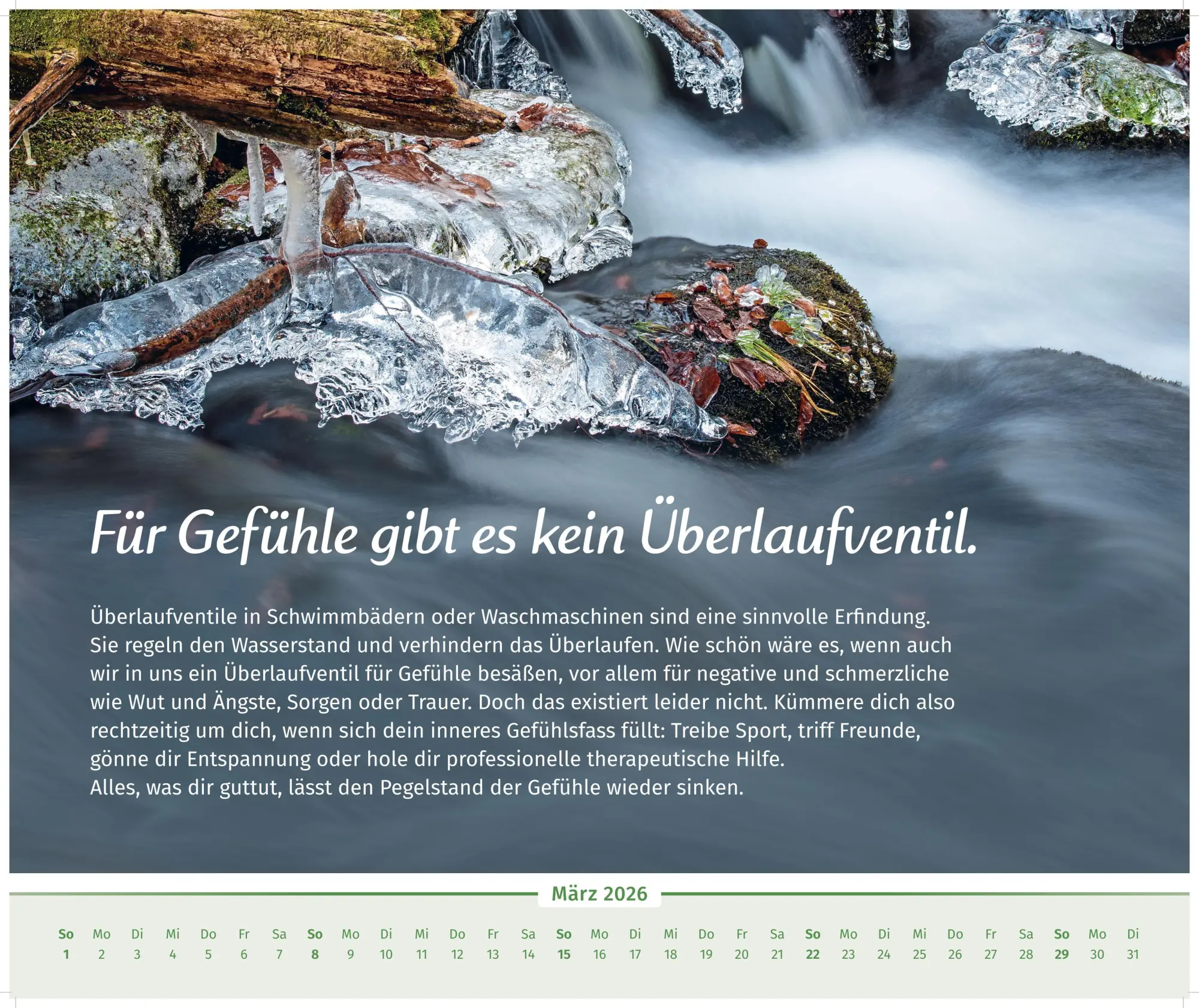 Bild: 9783910294530 | Der Lebensfreude-Inspirationen-Kalender 2026 | Doris Wolf (u. a.)