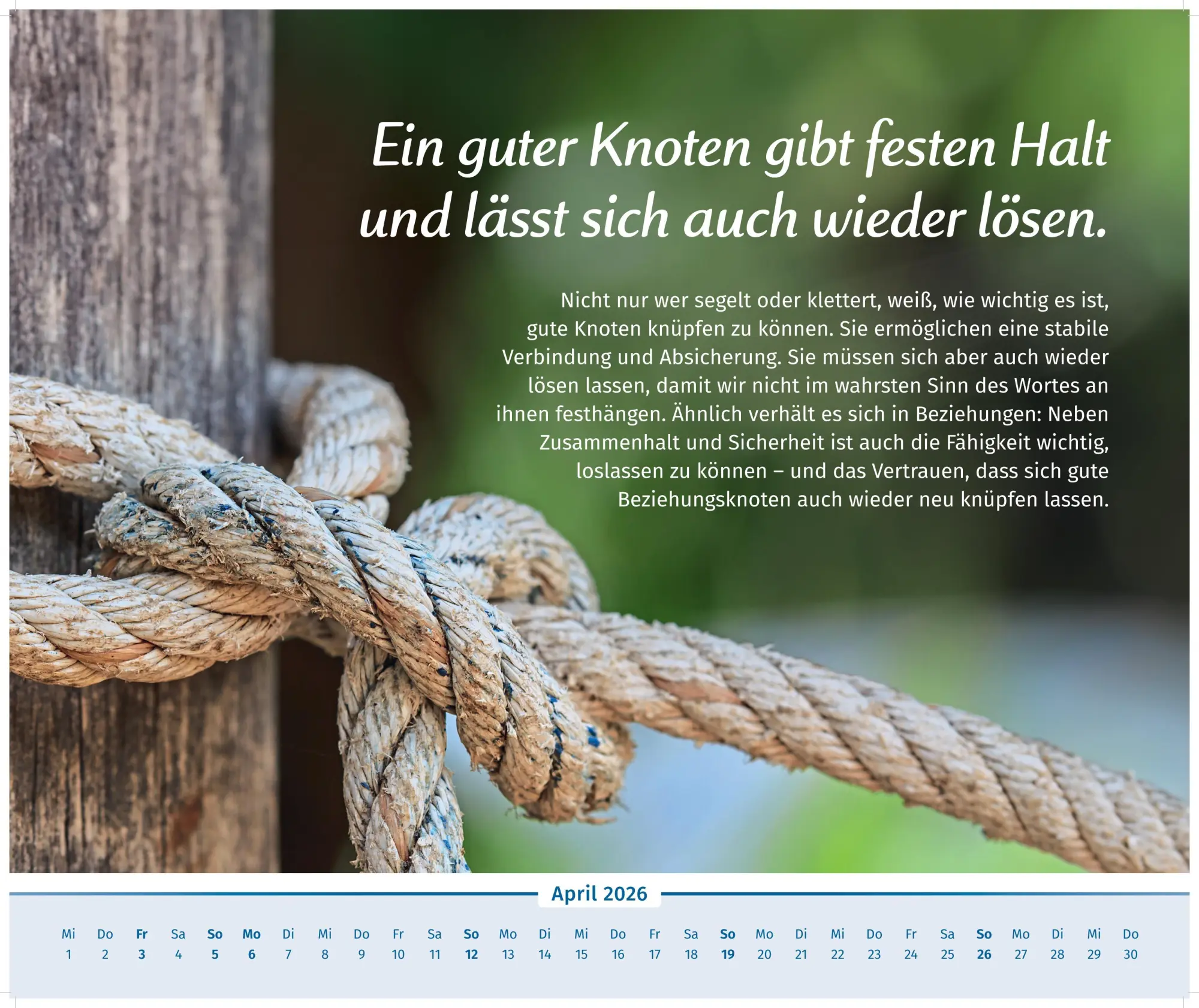 Bild: 9783910294530 | Der Lebensfreude-Inspirationen-Kalender 2026 | Doris Wolf (u. a.)